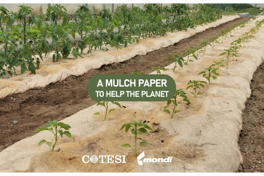 Advantage Kraft Mulch Paper